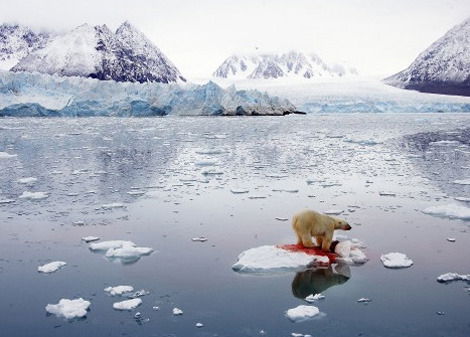 Один На Льдине