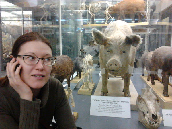 Ирина Циберева