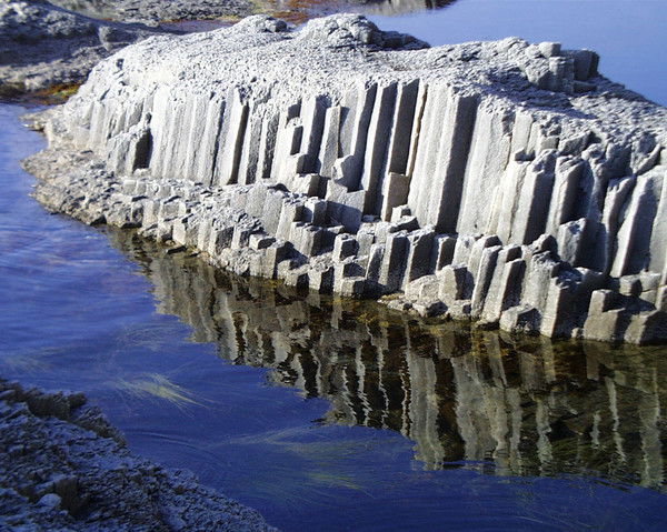 Екатерина Новосёлова