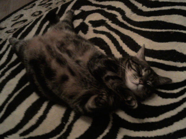 Надежда Андронкина