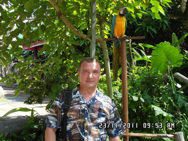 Олег Валерьевич Тимохин