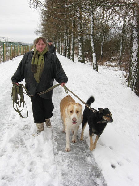 Елена Некрасова