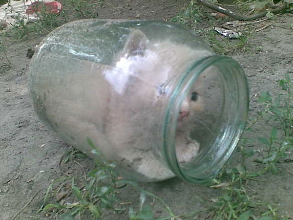 Елена Морская