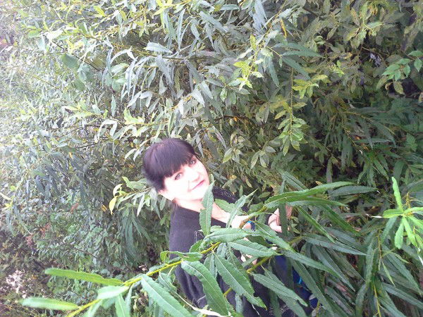 Елена Торгашова