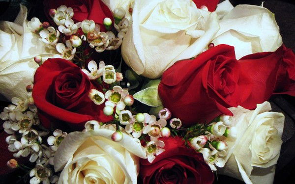 Акерке Толыбаева