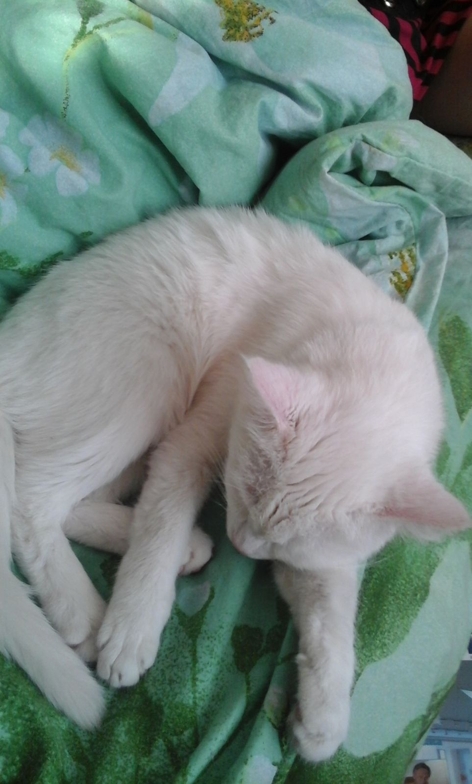 Юлия Витальевна