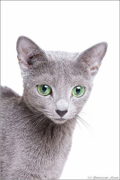 Бибигуль Мезгильбаева