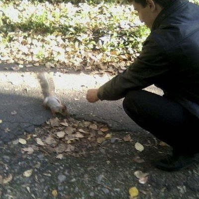 Андрей Борисовский