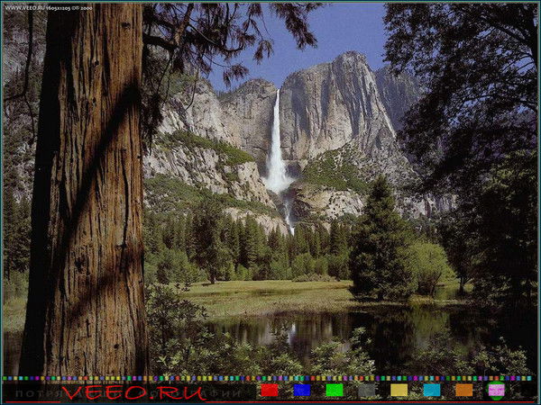 Павел Шестаков