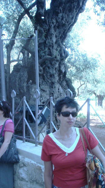 Елена Синицина