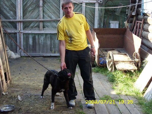 Владимир Малков