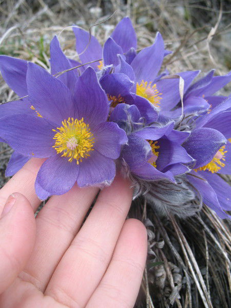 Людмила Ударцева