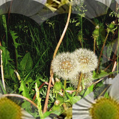 Наталья Сафронова