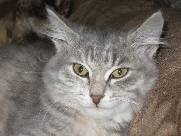 Наталья Тимерханова