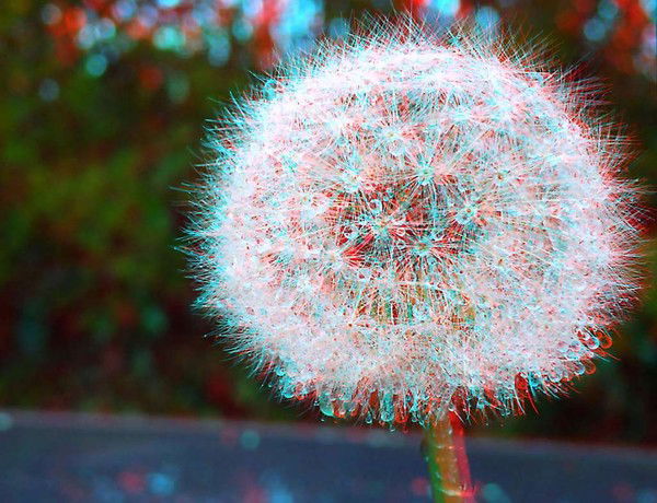 Евгения Минаева