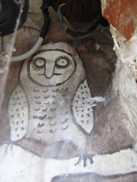 Андрей Попов