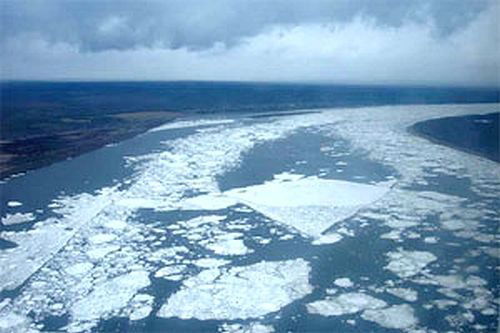 Хамит Кайыркелды