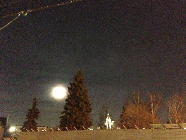 Инна Макеева