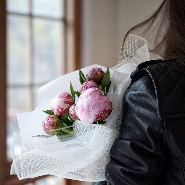 Оллечка Оллечкина