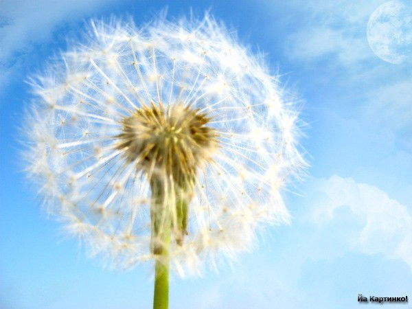 Рано Ахунова