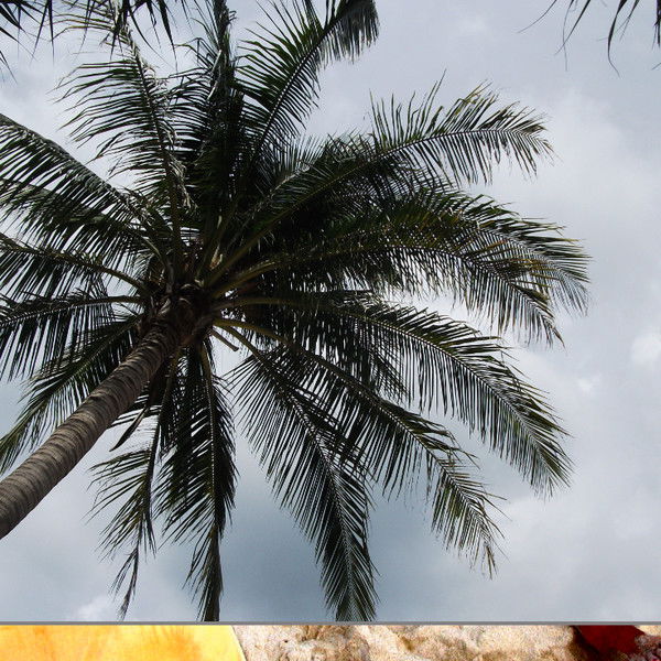 Татьяна Слоловьёва