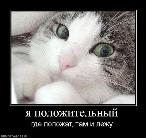 Владимир Федотов