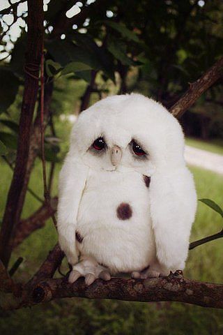 Наталья Васильченко