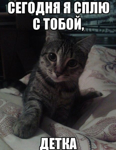 Амир Нуржанов