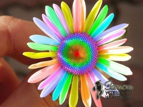 Анар Абирова