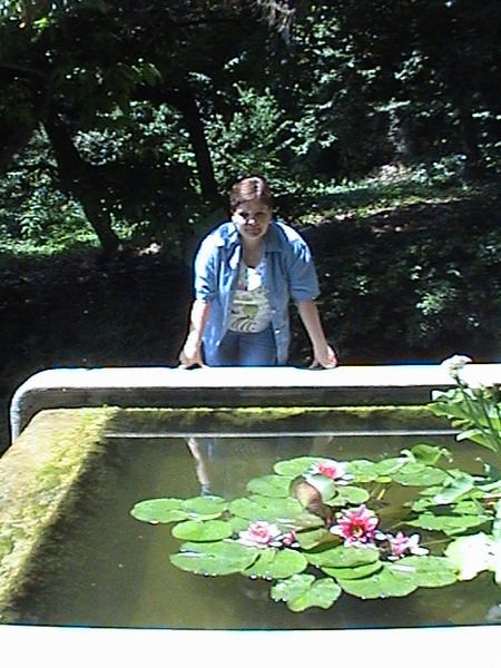 Елена Солодкая