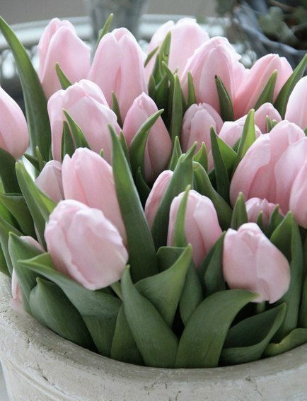 Ирина Мягкова