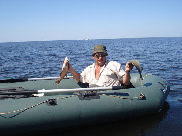 Владимир Шутинский