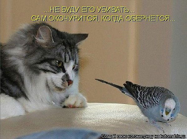 Ильфат Зиннуров