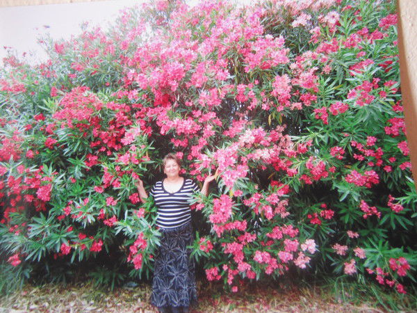 Любовь Рагнева