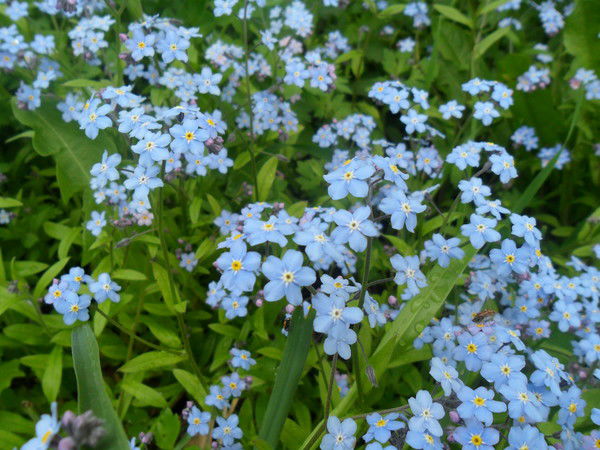 Наталья Желдак