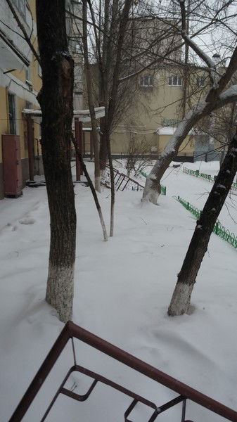 Канат Карибаев