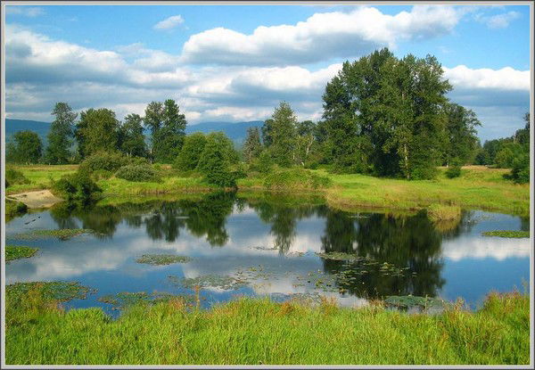 Завия Низамутдинова