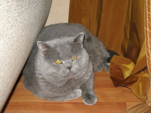 Евгений Сотников