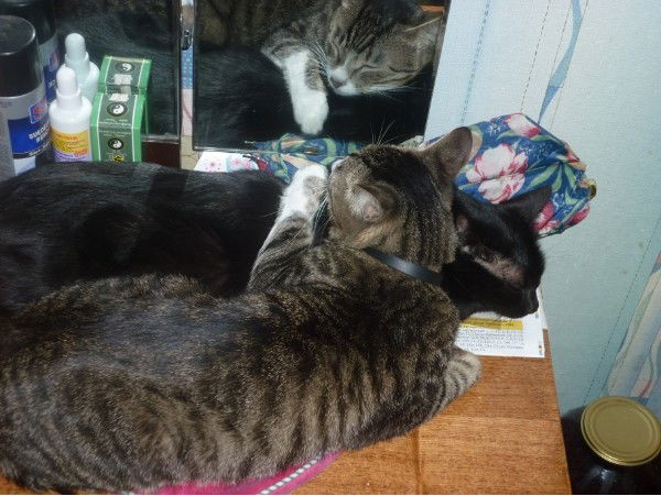 Анна Веревочкина