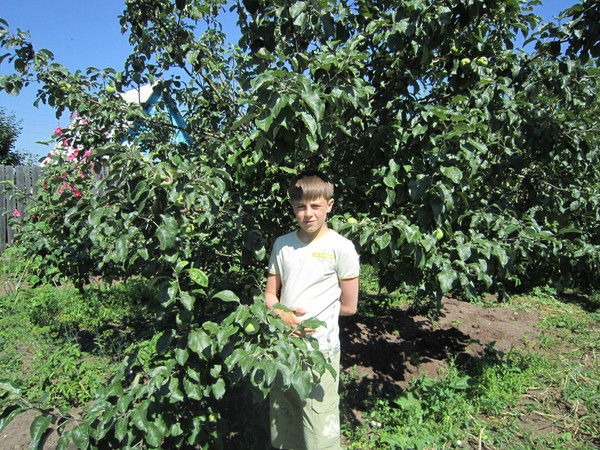 Андрей Шабалин