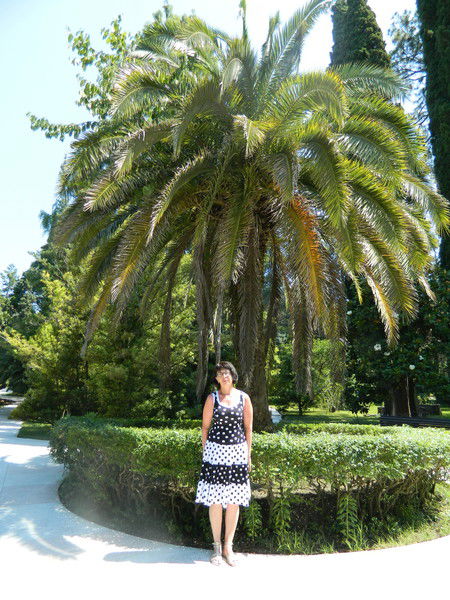 Светлана Герасимова