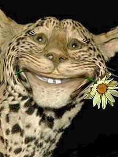 Николай Гавин