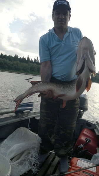 Павел Минкевич