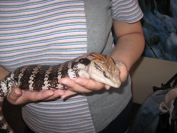 Юлия Топлер