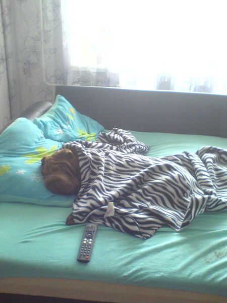 Оксана Федорченко