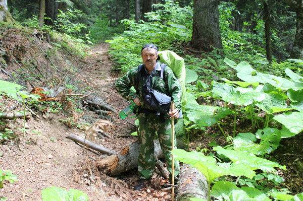 Николай Фальковский