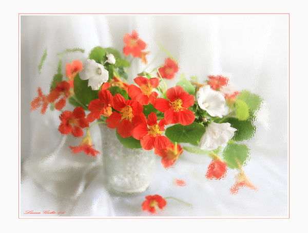 Миная Новрузова