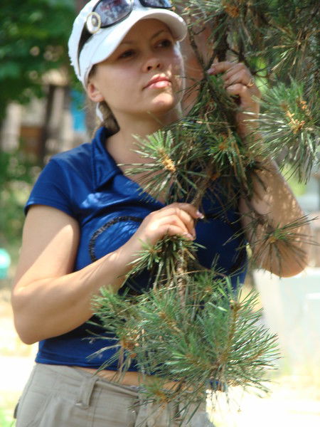 Елена Власенко