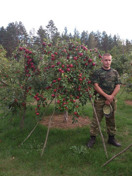 Алексей Пестов