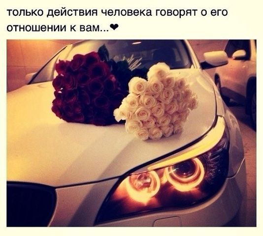 Ингушка Ингушка